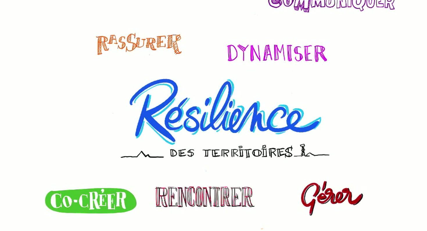 Facilitation graphique Véolia - Pat